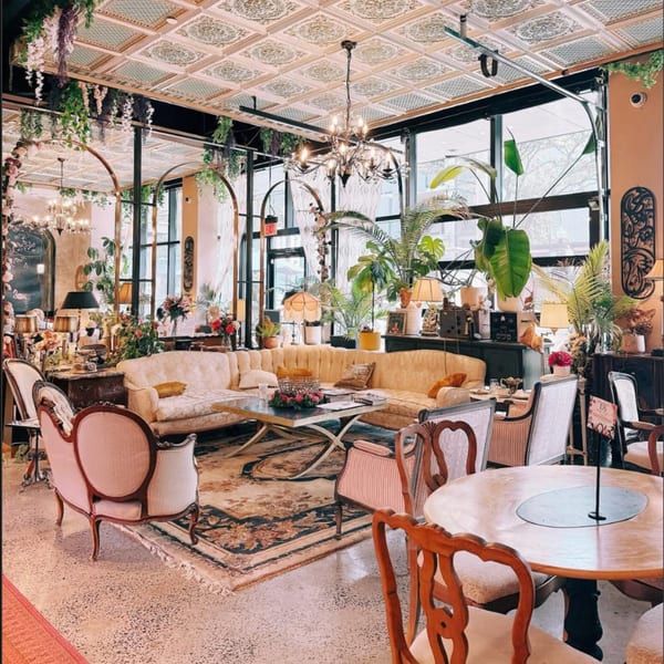 The Pistachio Cafe interior features vintage furniture, lush plants, and ornate decor under a patterned ceiling.